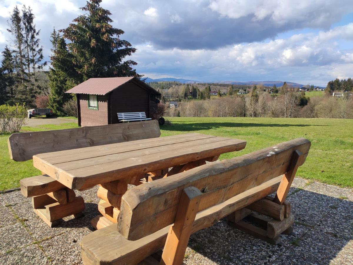 Ferienwohnung Harzluchs Mit Balkon, Netflix Und Sauna Im Haus Hohegeiß Exterior foto