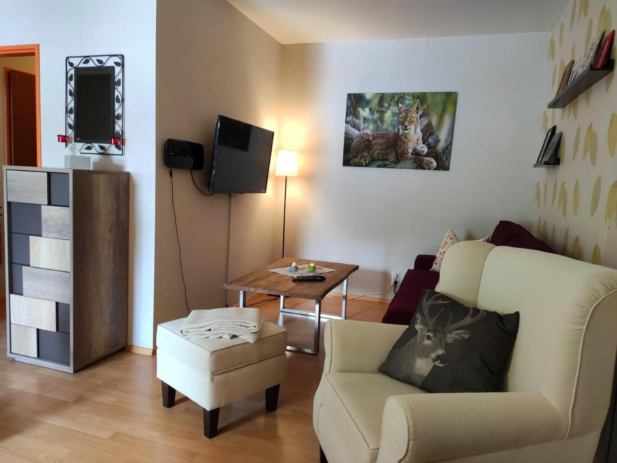 Ferienwohnung Harzluchs Mit Balkon, Netflix Und Sauna Im Haus Hohegeiß Exterior foto