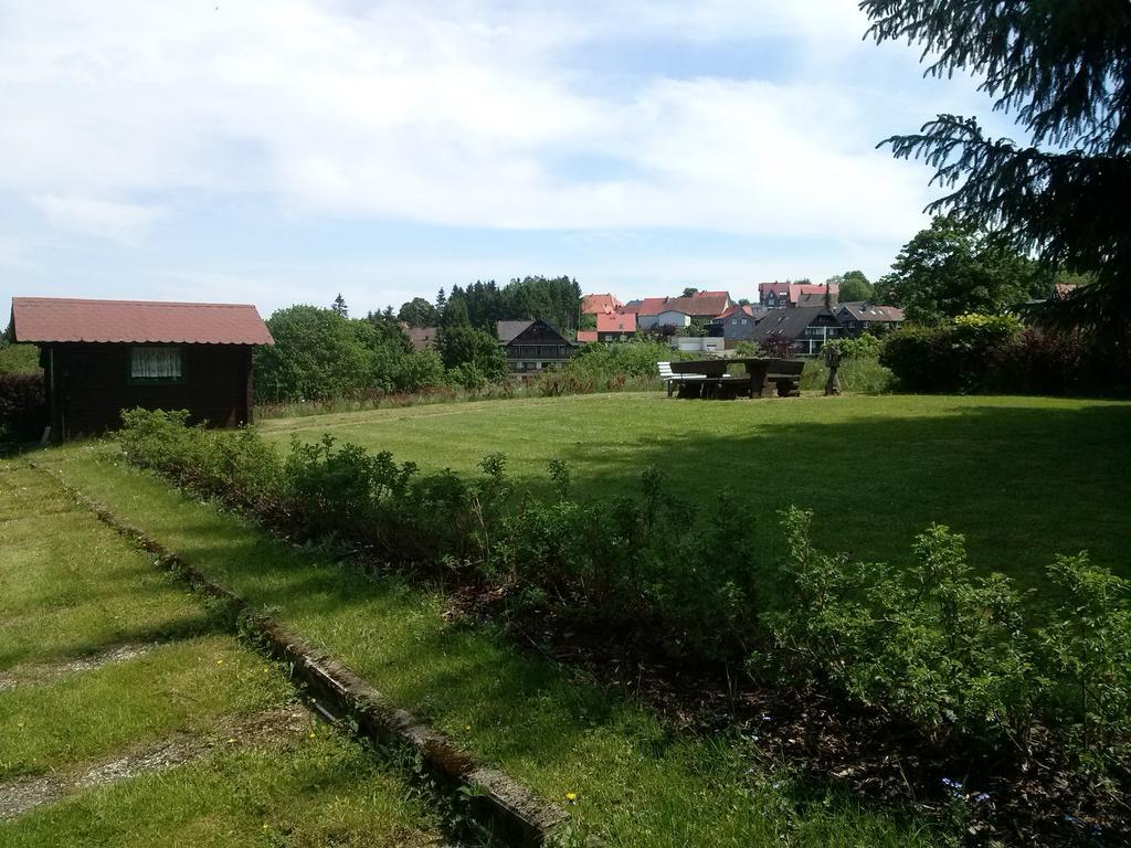 Ferienwohnung Harzluchs Mit Balkon, Netflix Und Sauna Im Haus Hohegeiß Cameră foto