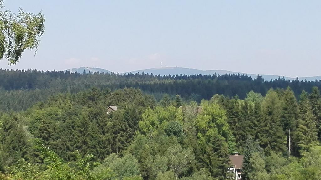 Ferienwohnung Harzluchs Mit Balkon, Netflix Und Sauna Im Haus Hohegeiß Cameră foto