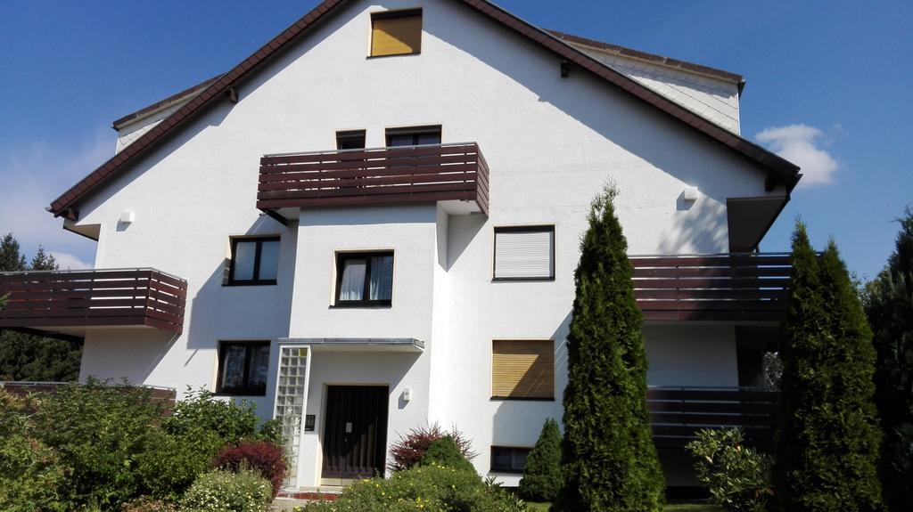 Ferienwohnung Harzluchs Mit Balkon, Netflix Und Sauna Im Haus Hohegeiß Cameră foto