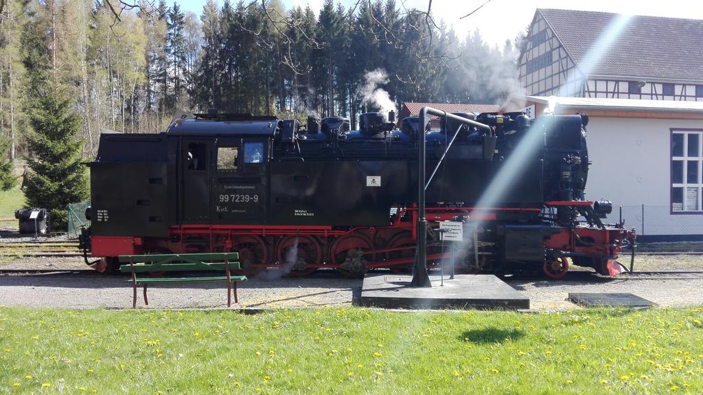 Ferienwohnung Harzluchs Mit Balkon, Netflix Und Sauna Im Haus Hohegeiß Exterior foto