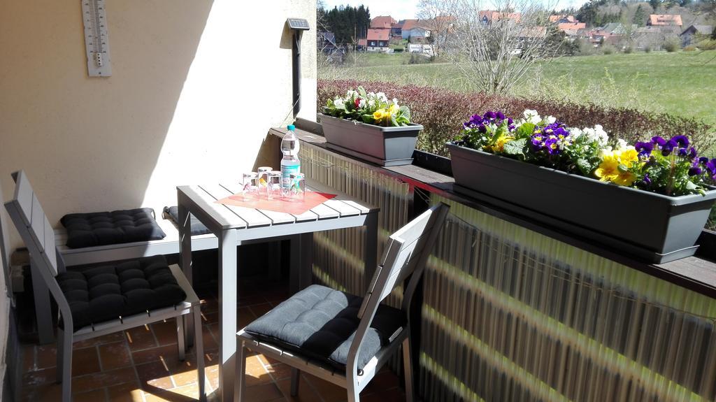 Ferienwohnung Harzluchs Mit Balkon, Netflix Und Sauna Im Haus Hohegeiß Exterior foto